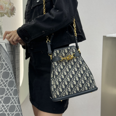 디올 쎄디올 버킷백 미디엄 M2272