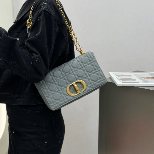 디올 미디엄 카로백 서플 까나쥬 그레이