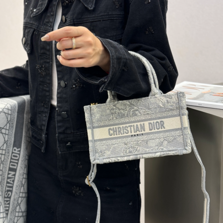 디올 미니 북 토트백 그레이 트왈 드 주이 자수