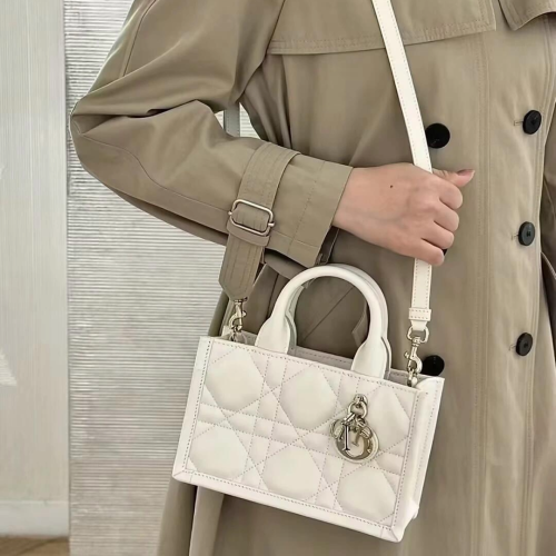 디올 미니 스트랩 북 토트백 매크로까나쥬 라떼