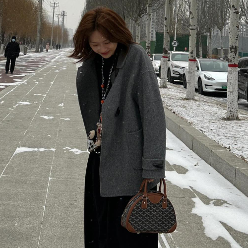 고야드 잔느 토트백 미니 브라운