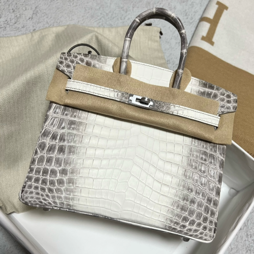 반수공 에르메스 버킨백 25 히말라야 은장 악어가죽