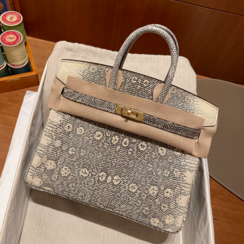 반수공 에르메스 버킨백 25 히말라야 금장 리자드가죽