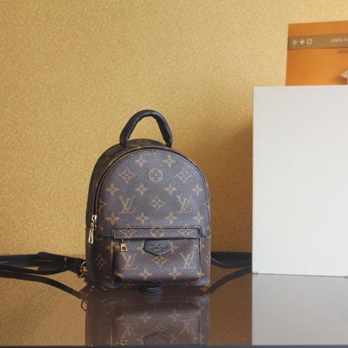 루이비통 팜 스프링스 미니 모노그램 M44873